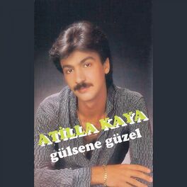 Album cover of Gülsene Güzel