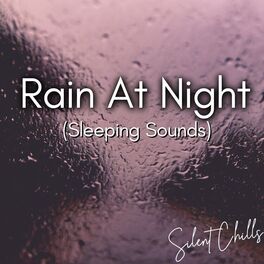 Album picture of Rain At Night (Sleeping Sounds)