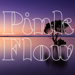 Album cover of Pink Flow