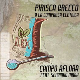 Album cover of Campo Aflora