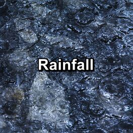 Album cover of Rainfall