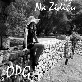 Album cover of Na Zidiću