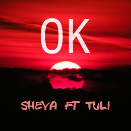 Album cover of OK ft Tuli