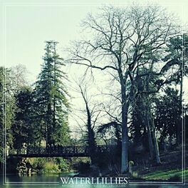 Album cover of Bridge Over Troubled Waterllillies