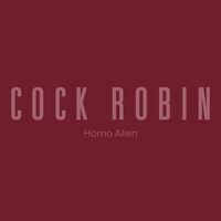 cock robin bodies on a bed sheet