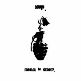 Album cover of Room to Grow