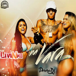 Parem de Transar - MC Livinho