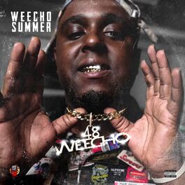 Album cover of Weecho Summer