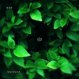 Album cover of Realease