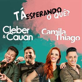 Album cover of Tá Esperando o Quê?