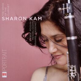 Album cover of The Voice of the Clarinet