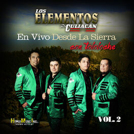 Album cover of Desde la Sierra Con Tololoche (En Vivo) Vol. 2