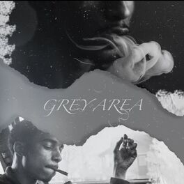 Album cover of Grey Area