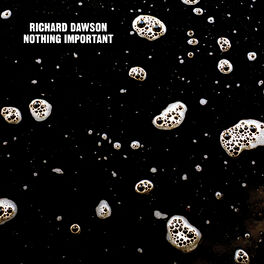 Album cover of Nothing Important