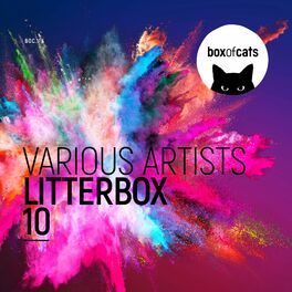 Album cover of LitterBox X