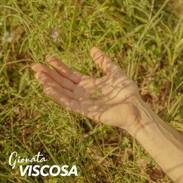 Album cover of Viscosa