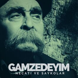 Album cover of Gamzedeyim