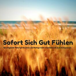 Album cover of Sofort Sich Gut Fühlen - Beruhigende Naturgeräuschen und Ruhige Instrumentalmusik Zum Entspannen