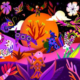 Album cover of Arrullos Mexicanos (Mexican Lullabies)