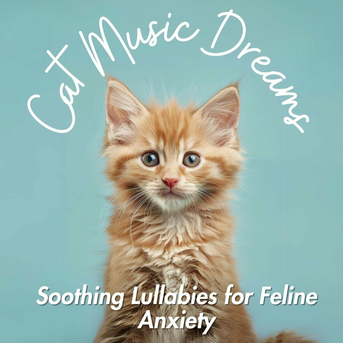 Relax My Cat albums songs playlists Listen on Deezer