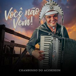 Album cover of Você Não Vem! (Ao Vivo)