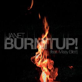 Album cover of BURNITUP! (feat. Missy Elliott)