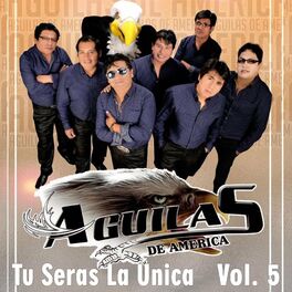 Album picture of Tú Serás la Única, Vol. 5