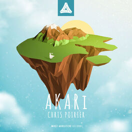 Album cover of Akari