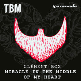 Album cover of Miracle In The Middle Of My Heart
