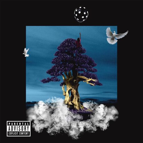Matty - Immortal: lyrics and songs | Deezer
