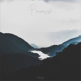 Album cover of Promise
