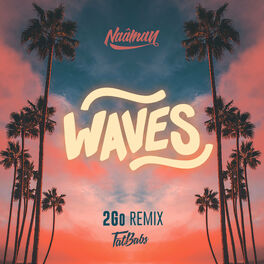 Album cover of Waves (2Go Remix)