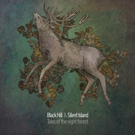Album cover of Tales of the night forest