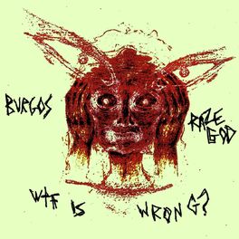 Album cover of wtf is wrong?