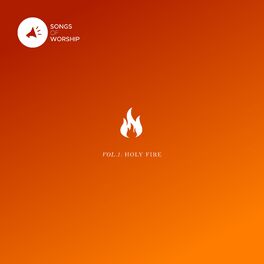 Album cover of Vol 1: Holy Fire