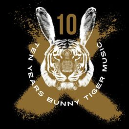 Album cover of Bunny Tiger 10 Years Anniversary