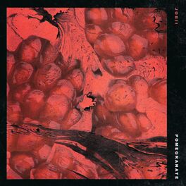 Album cover of Pomegranate