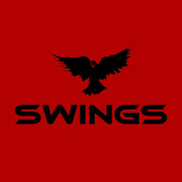 Album cover of Shingaling