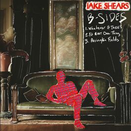 Jake Shears B Sides lyrics and songs Deezer