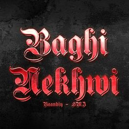 Album cover of Baghi Nekhwi (feat. HMZ)