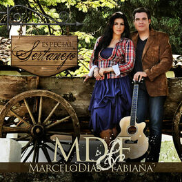 Album cover of Especial Sertanejo