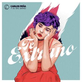 Album cover of Te Extraño