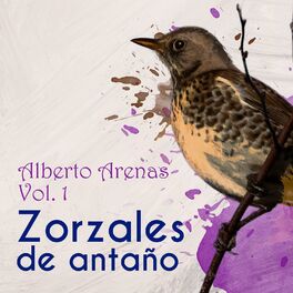Album cover of Zorzales de Antaño / Alberto Arenas Vol. 1