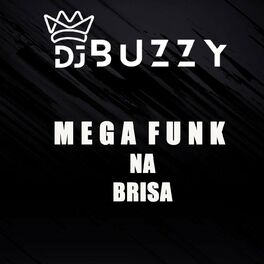 Album cover of Mega Funk Na Brisa
