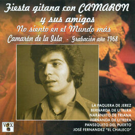 Album cover of Fiesta Gitana Con Camarón y Sus Amigos. No Siento en el Mundo Más