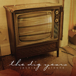 Album cover of The Dig Years