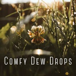 Album cover of Comfy Dew Drops