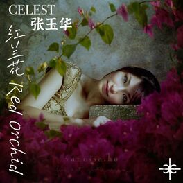 Album cover of 红兰花 RedOrchid