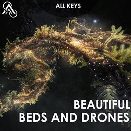 Album cover of Beautiful Beds & Drones