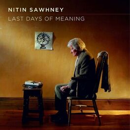 Album cover of Last Days of Meaning